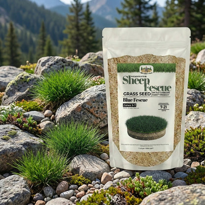 Wicked Tuff Turf Sheep Fescue Seed