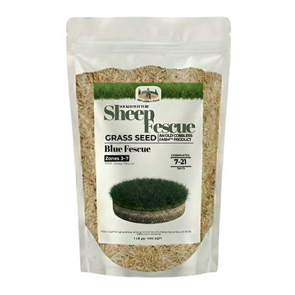 Wicked Tuff Turf Sheep Fescue Seed