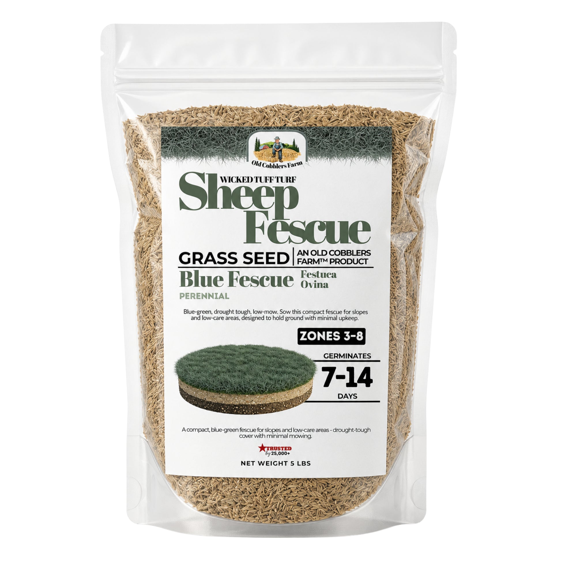 Wicked Tuff Turf Sheep Fescue Seed - Old Cobblers Farm