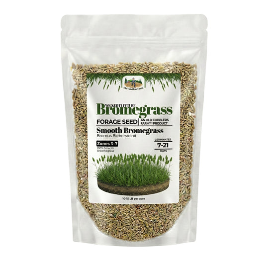 Wicked Tuff Turf Bromegrass Seed - Smooth