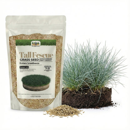 Wicked Tuff Turf Tall Fescue Seed
