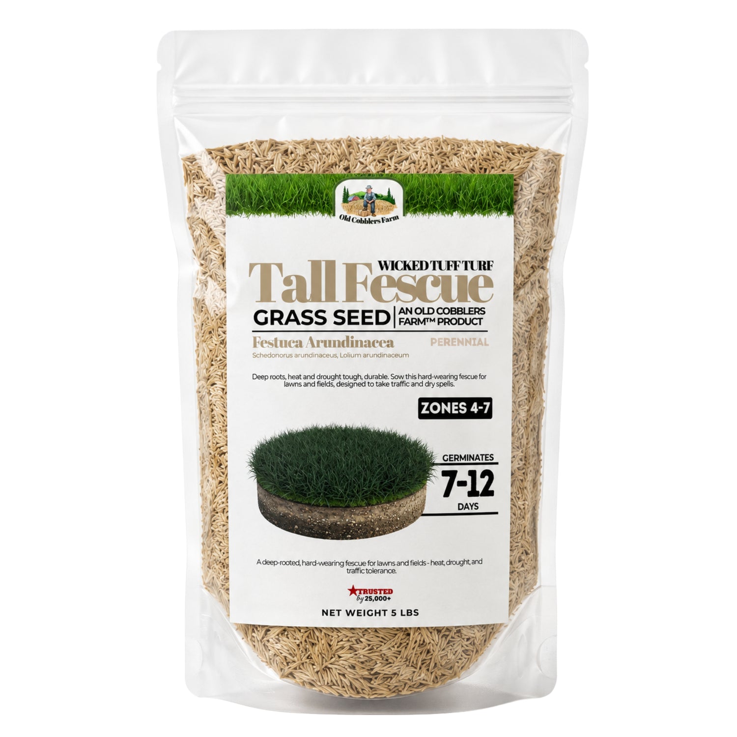 Wicked Tuff Turf Tall Fescue Seed - Old Cobblers Farm