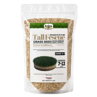 Wicked Tuff Turf Tall Fescue Seed - Old Cobblers Farm