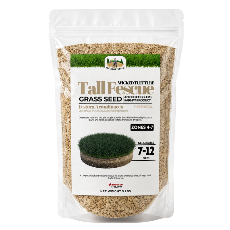 Wicked Tuff Turf Tall Fescue Seed - Old Cobblers Farm