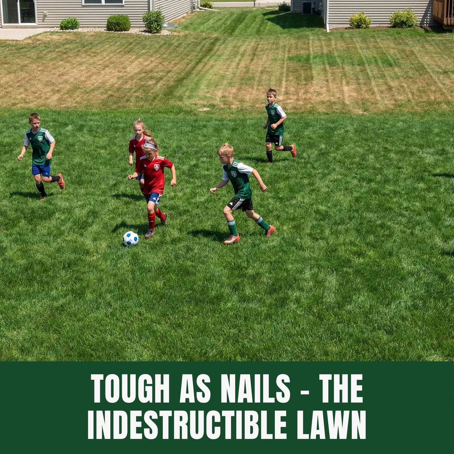 Wicked Tuff Turf Tall Fescue Seed