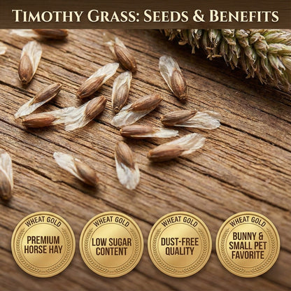 Wicked Tuff Turf Timothy Grass Seed