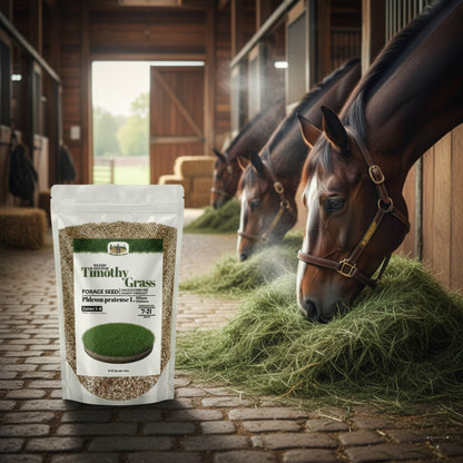 Wicked Tuff Turf Timothy Grass Seed