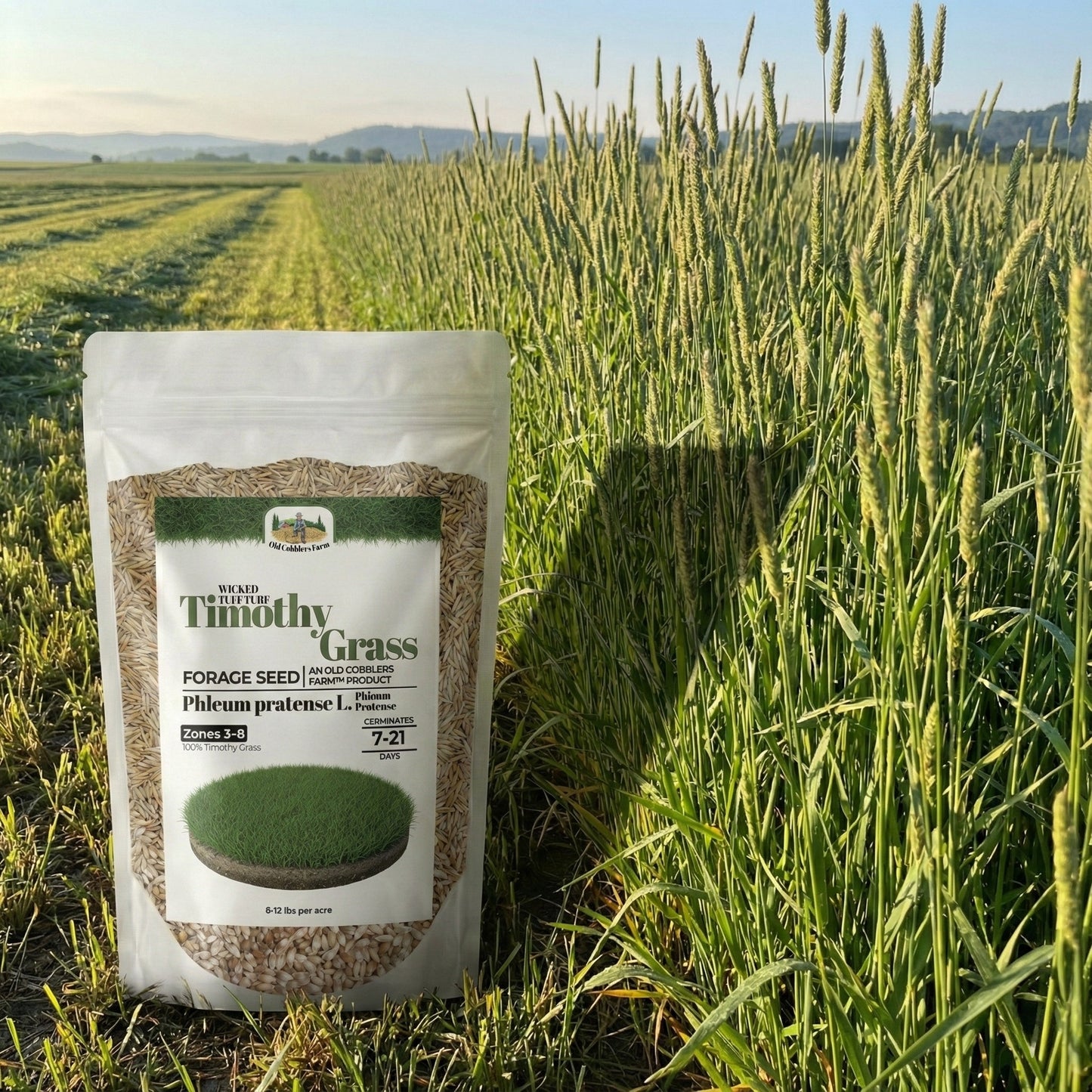 Wicked Tuff Turf Timothy Grass Seed