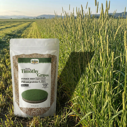 Wicked Tuff Turf Timothy Grass Seed