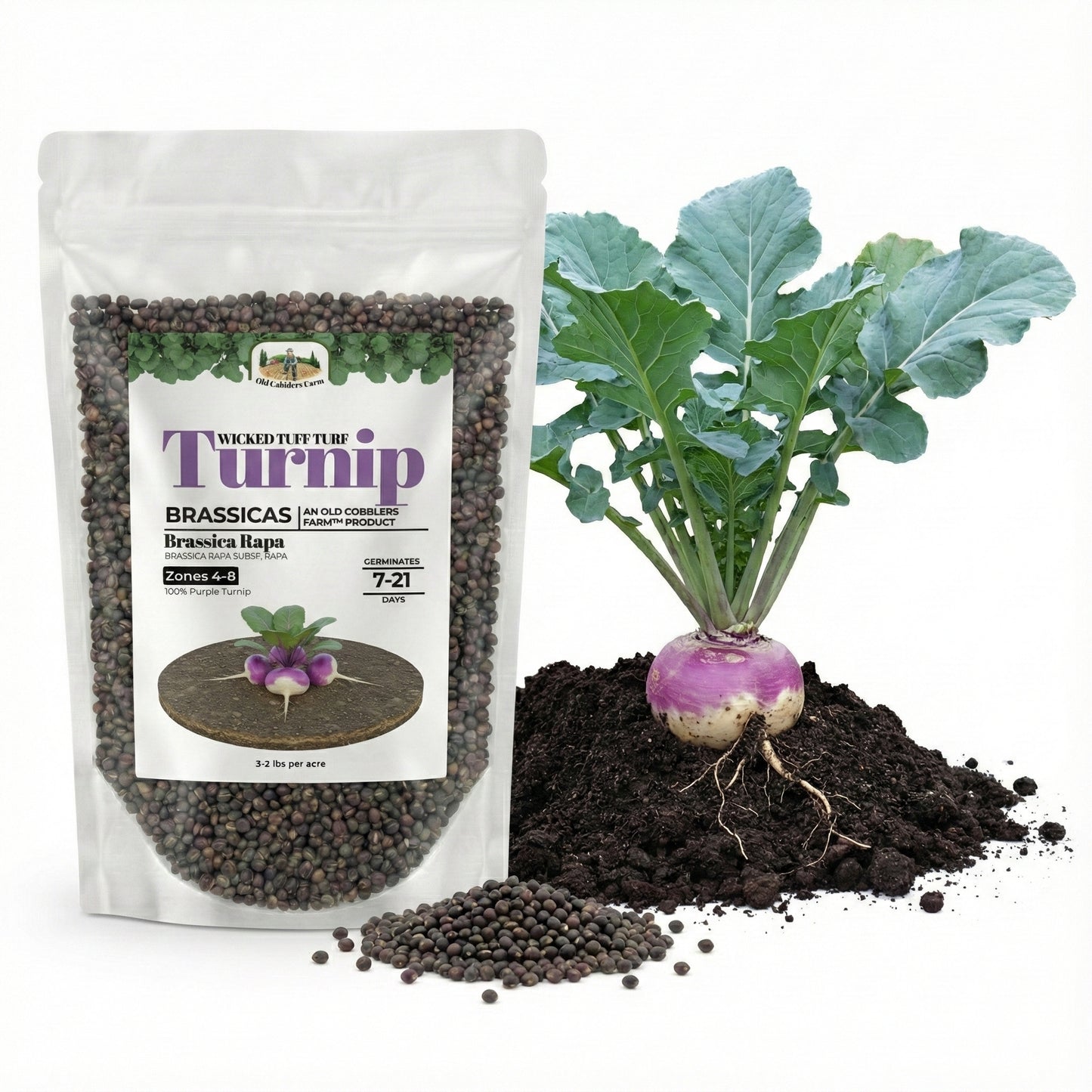 Wicked Tuff Turf Turnip Seed