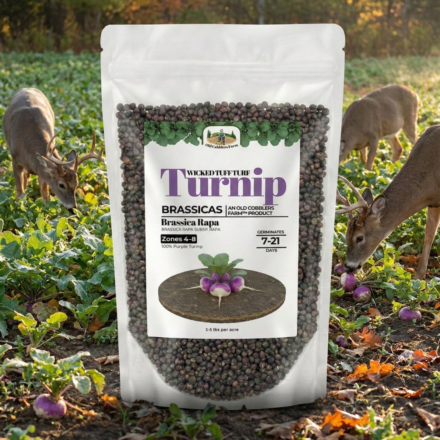 Wicked Tuff Turf Turnip Seed