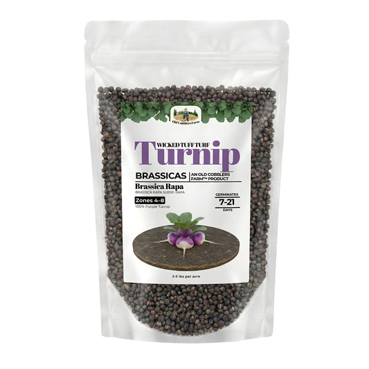 Wicked Tuff Turf Turnip Seed