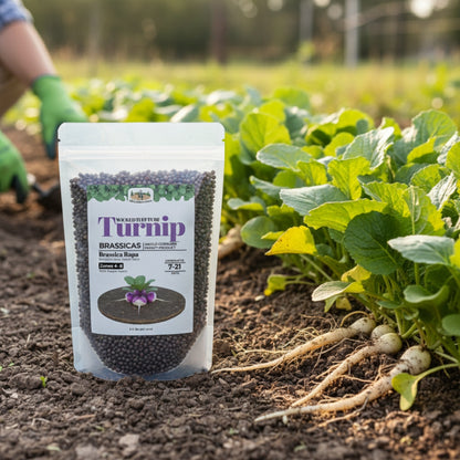 Wicked Tuff Turf Turnip Seed