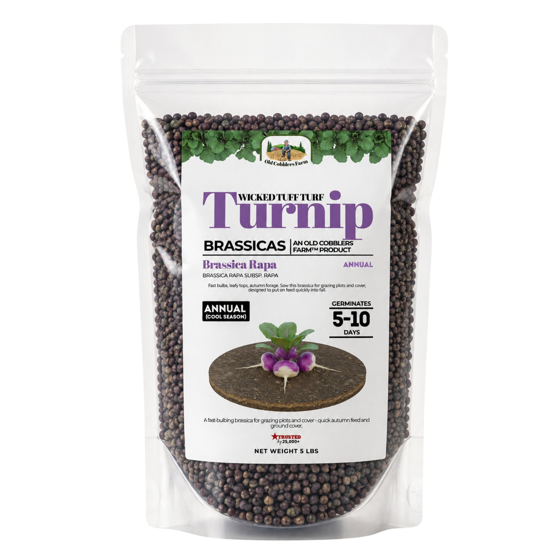 Wicked Tuff Turf Turnip Seed - Old Cobblers Farm
