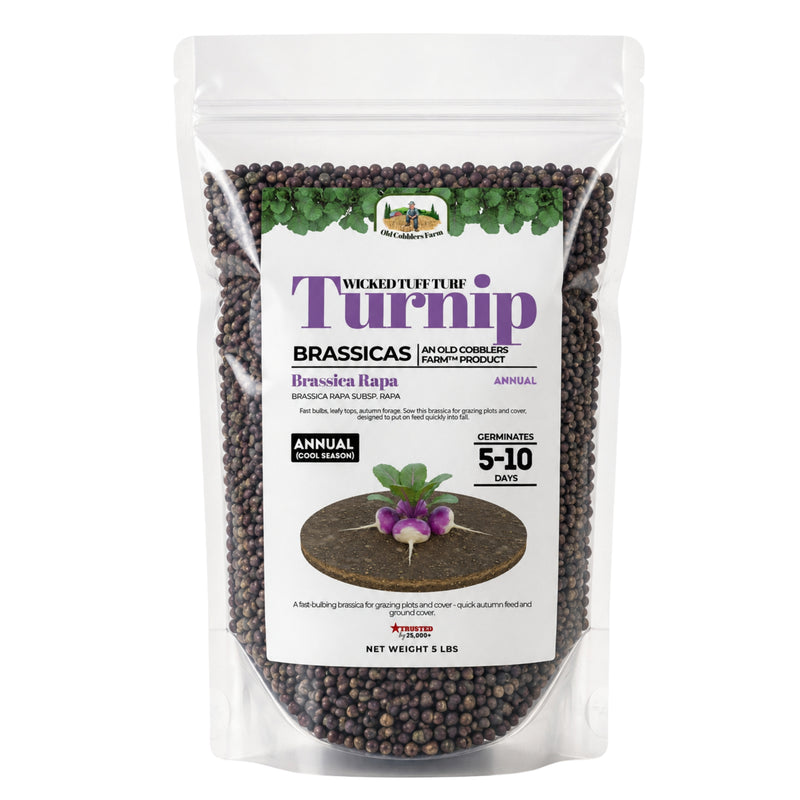 Wicked Tuff Turf Turnip Seed - Old Cobblers Farm