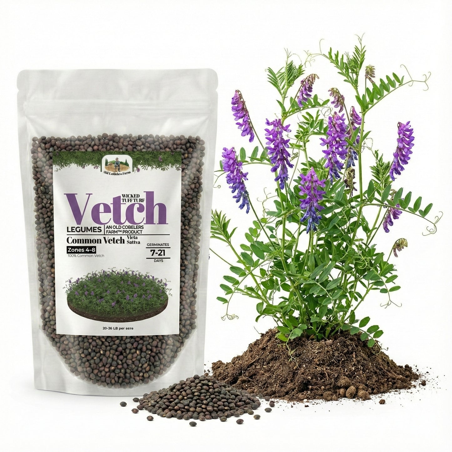 Wicked Tuff Turf Common Vetch Seed - Vicia Sativa