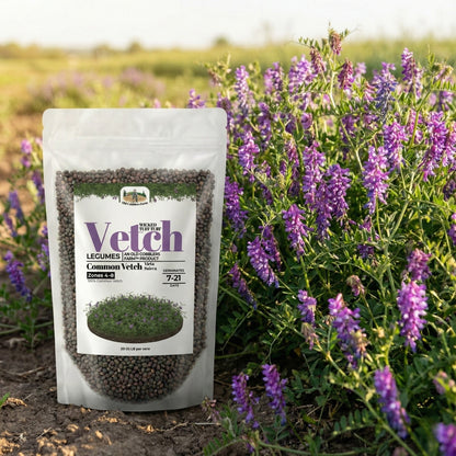 Wicked Tuff Turf Common Vetch Seed - Vicia Sativa