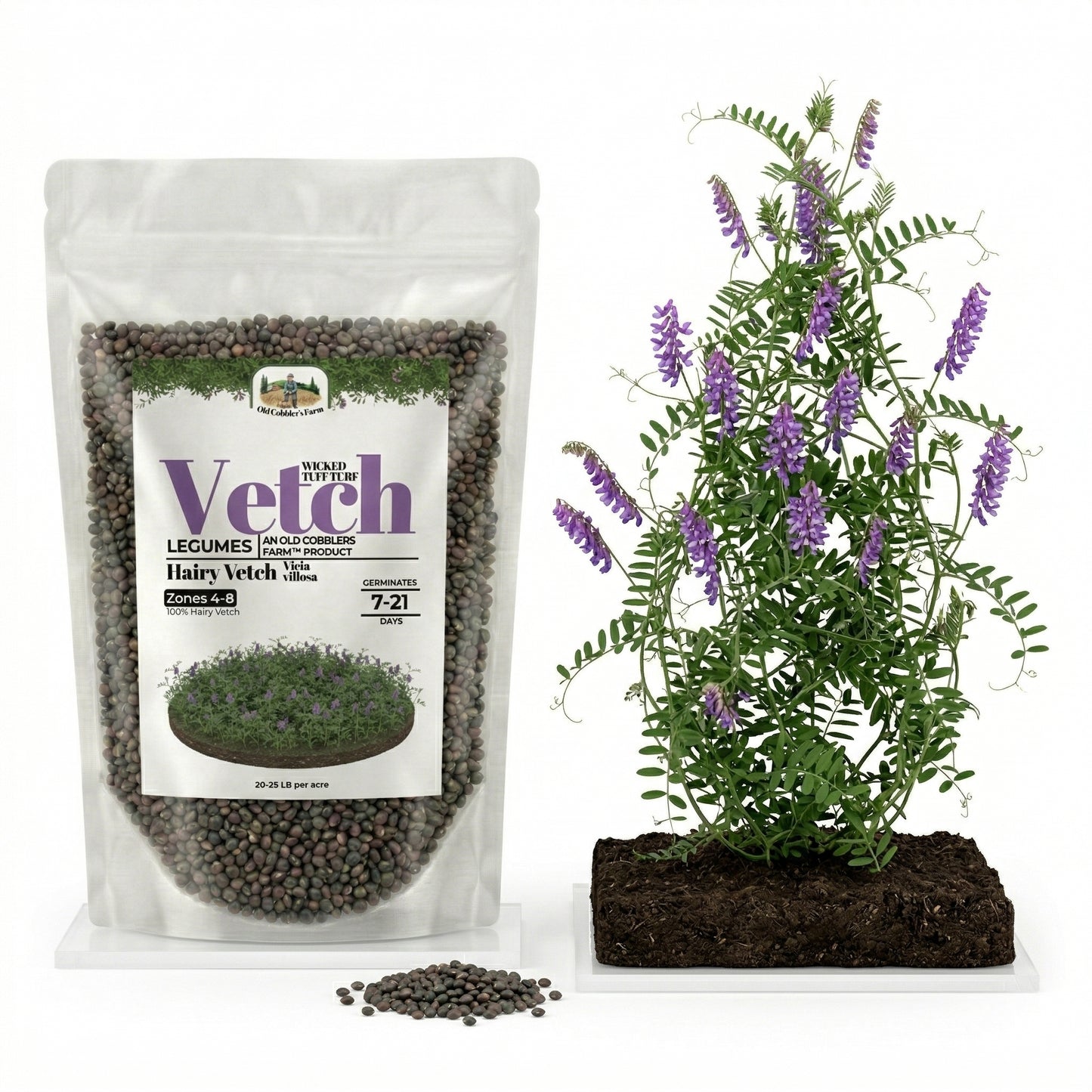 Wicked Tuff Turf Hairy Vetch Seed - Vicia Villosa