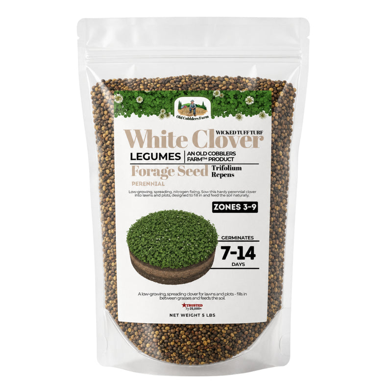 Wicked Tuff Turf White Clover Seed - Old Cobblers Farm