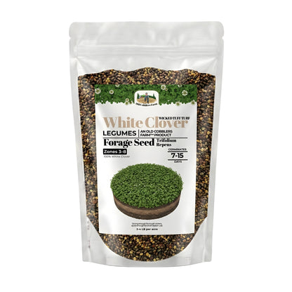 Wicked Tuff Turf White Clover Seed