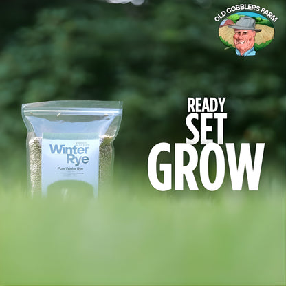 Old Cobblers Farm™ Wicked Tuff Turf Winter Rye Grass Seed