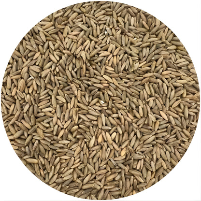 Old Cobblers Farm™ Wicked Tuff Turf Winter Rye Grass Seed