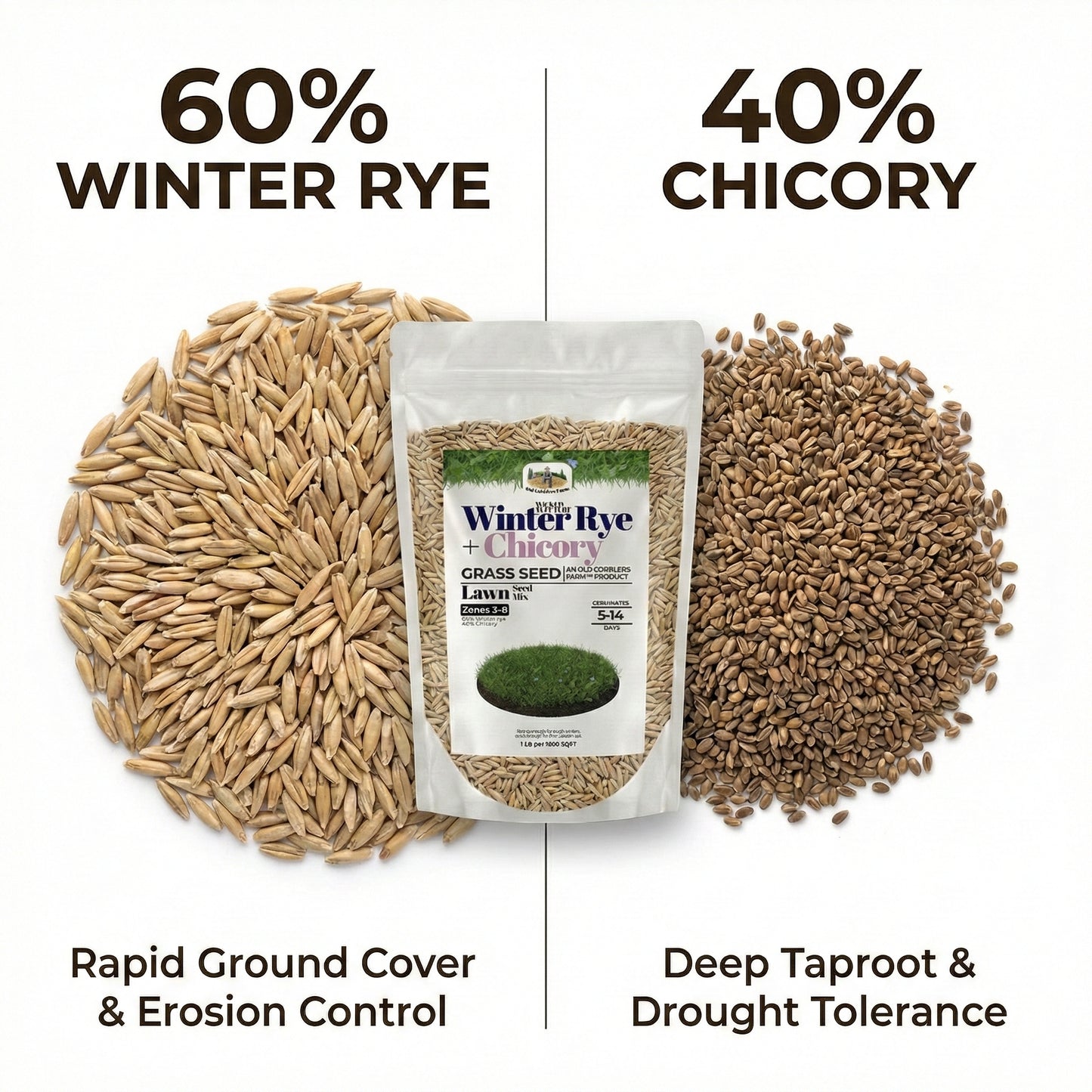 Wicked Tuff Turf Winter Rye + Chicory Seed Mix