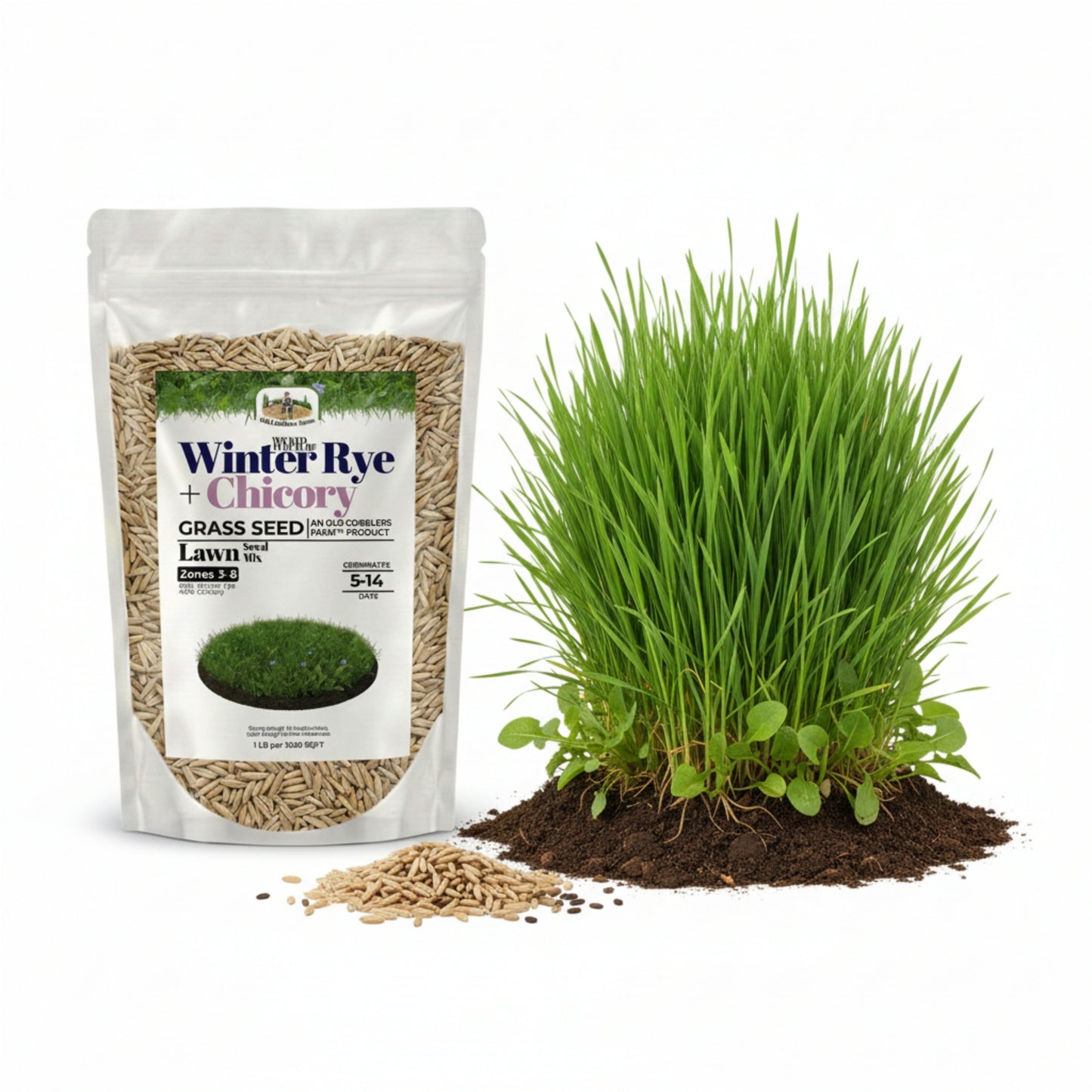 Wicked Tuff Turf Winter Rye + Chicory Seed Mix