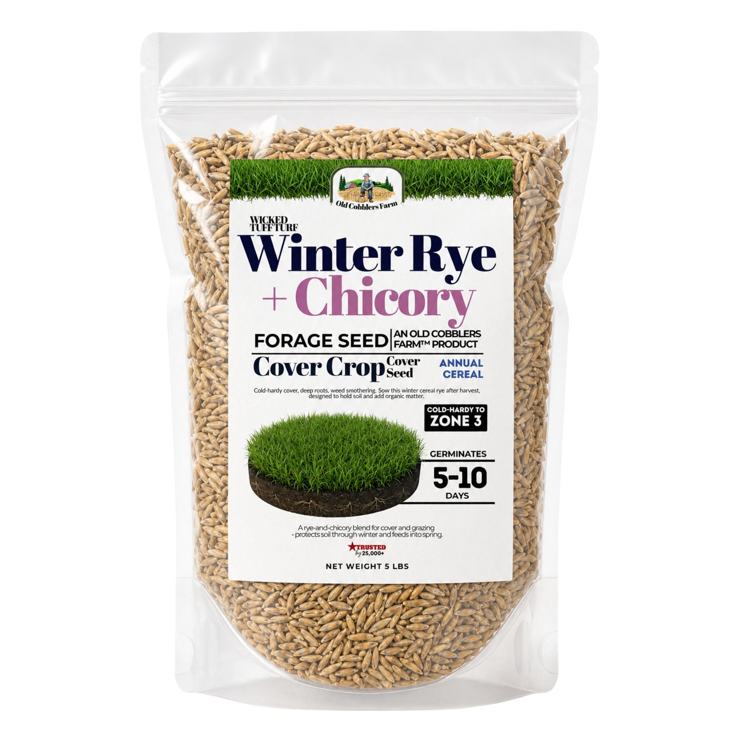 Wicked Tuff Turf Winter Rye + Chicory Seed Mix - Old Cobblers Farm