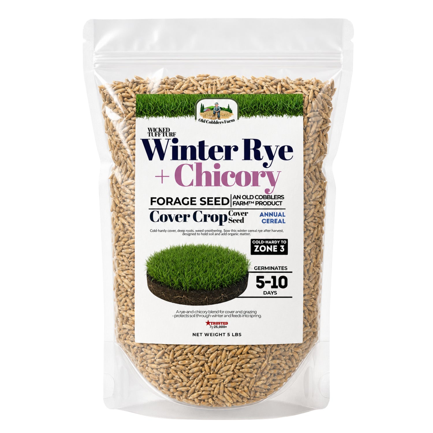 Wicked Tuff Turf Winter Rye + Chicory Seed Mix - Old Cobblers Farm
