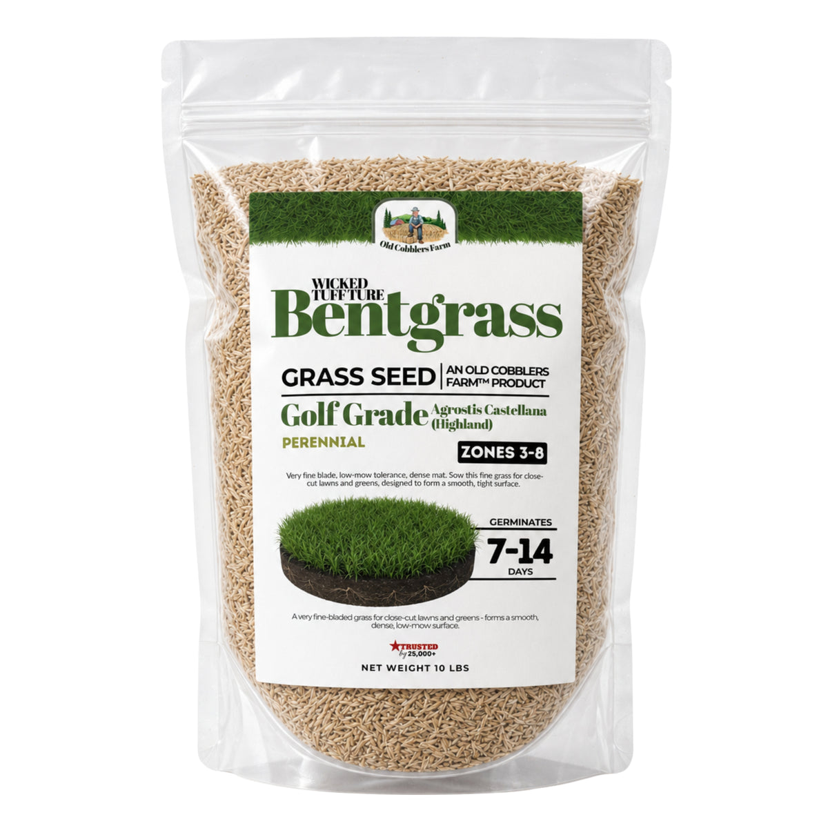 Wicked Tuff Turf Bentgrass Seed