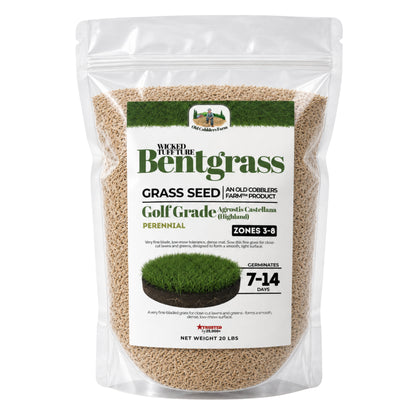 Wicked Tuff Turf Bentgrass Seed
