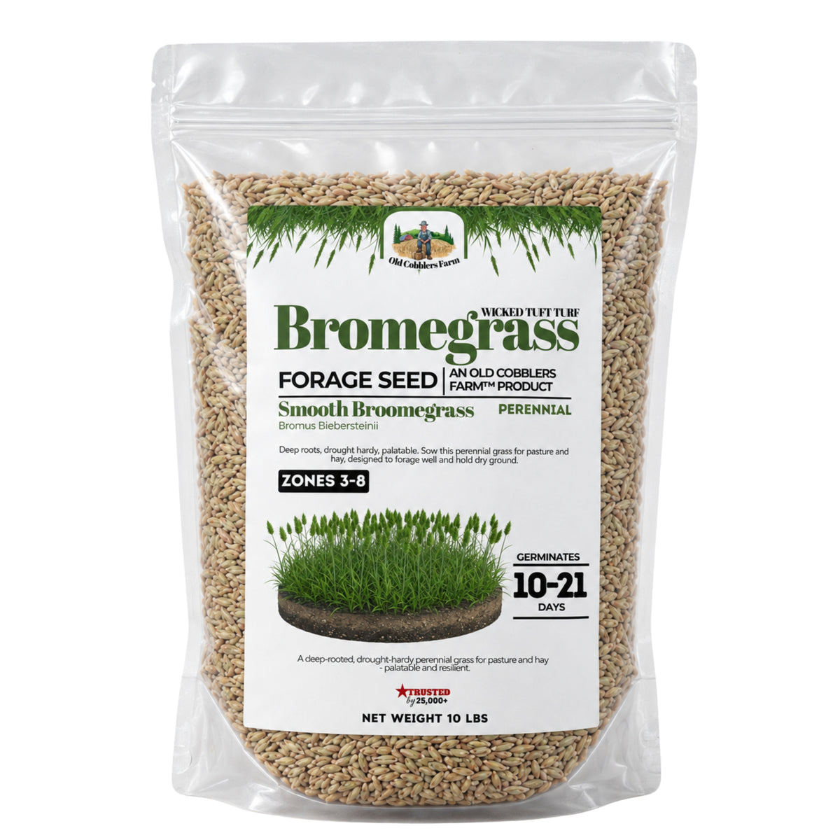 Wicked Tuff Turf Bromegrass Seed - Smooth