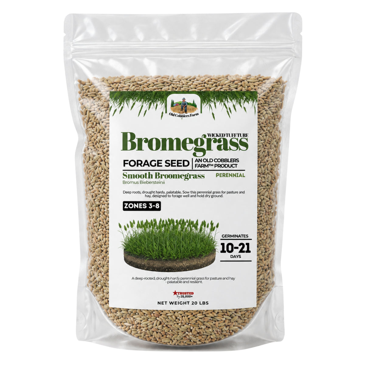 Wicked Tuff Turf Bromegrass Seed - Smooth