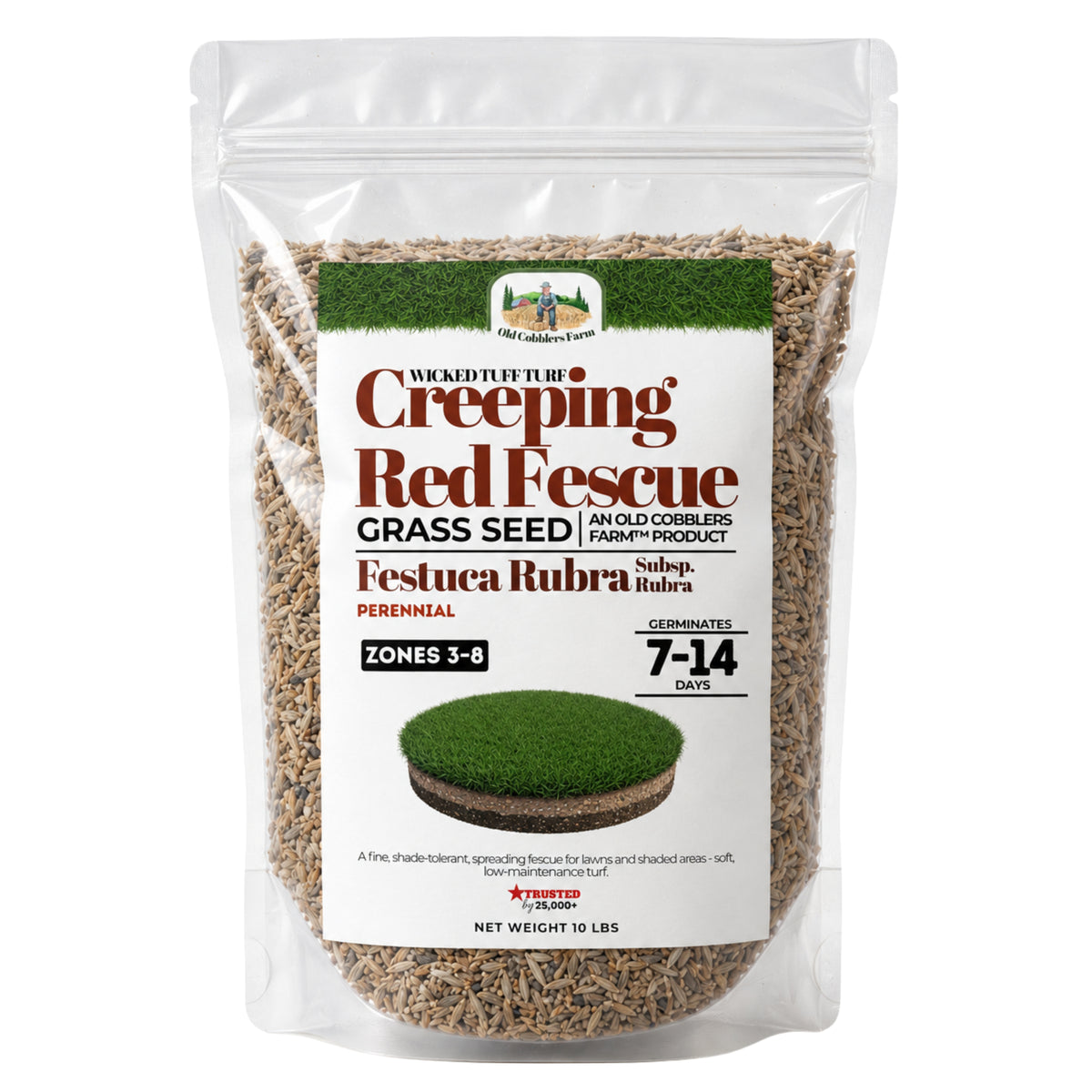 Wicked Tuff Turf Creeping Red Fescue Seed