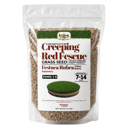 Wicked Tuff Turf Creeping Red Fescue Seed