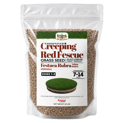 Wicked Tuff Turf Creeping Red Fescue Seed