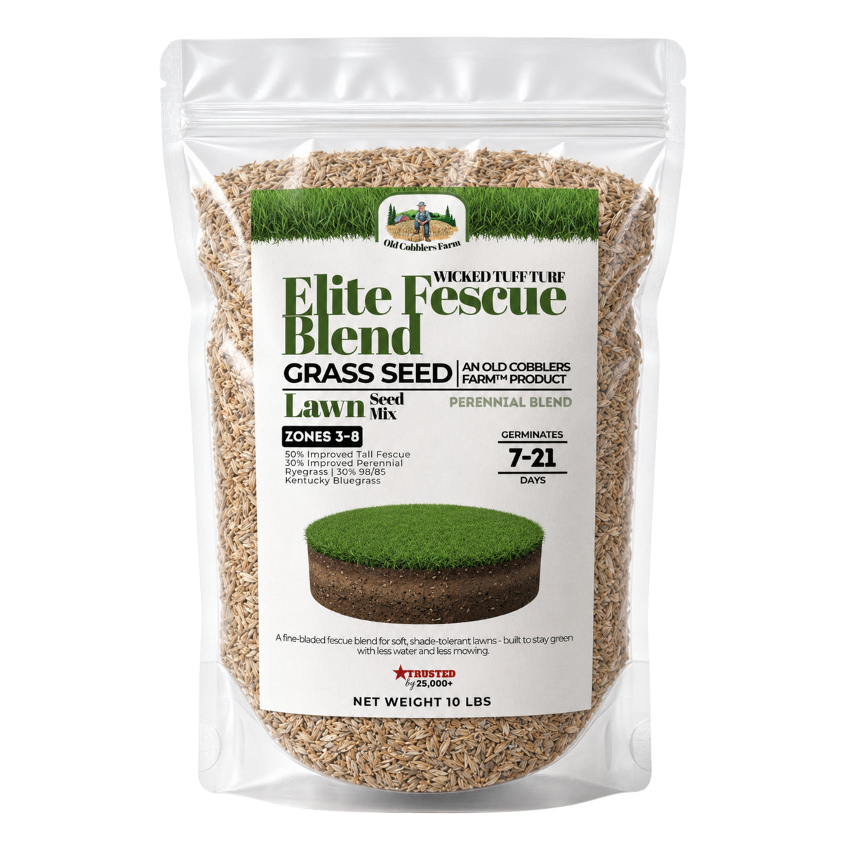 Wicked Tuff Turf Elite Fescue Blend Seed