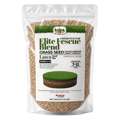 Wicked Tuff Turf Elite Fescue Blend Seed