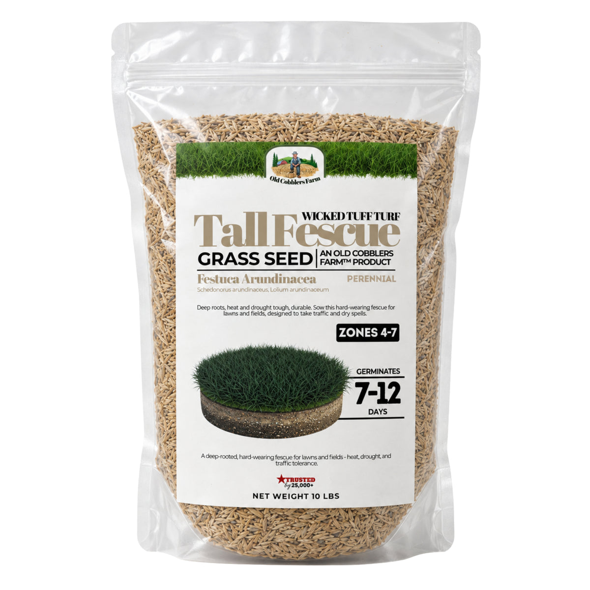 Wicked Tuff Turf Tall Fescue Seed
