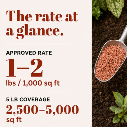 Wicked Growth 0-0-60 Fertilizer