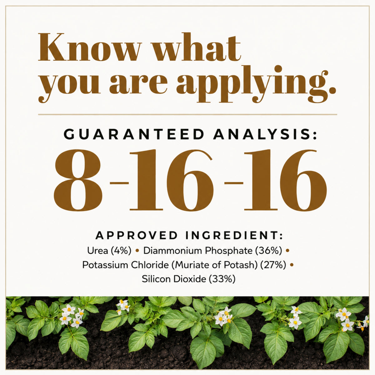 Wicked Growth Seed Potato Fertilizer