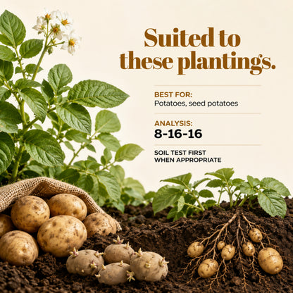 Wicked Growth Seed Potato Fertilizer