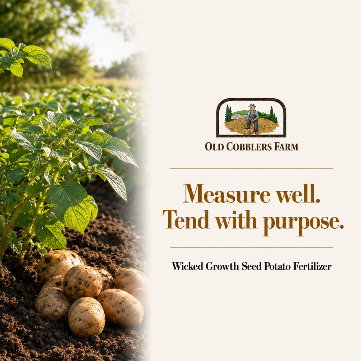 Wicked Growth Seed Potato Fertilizer