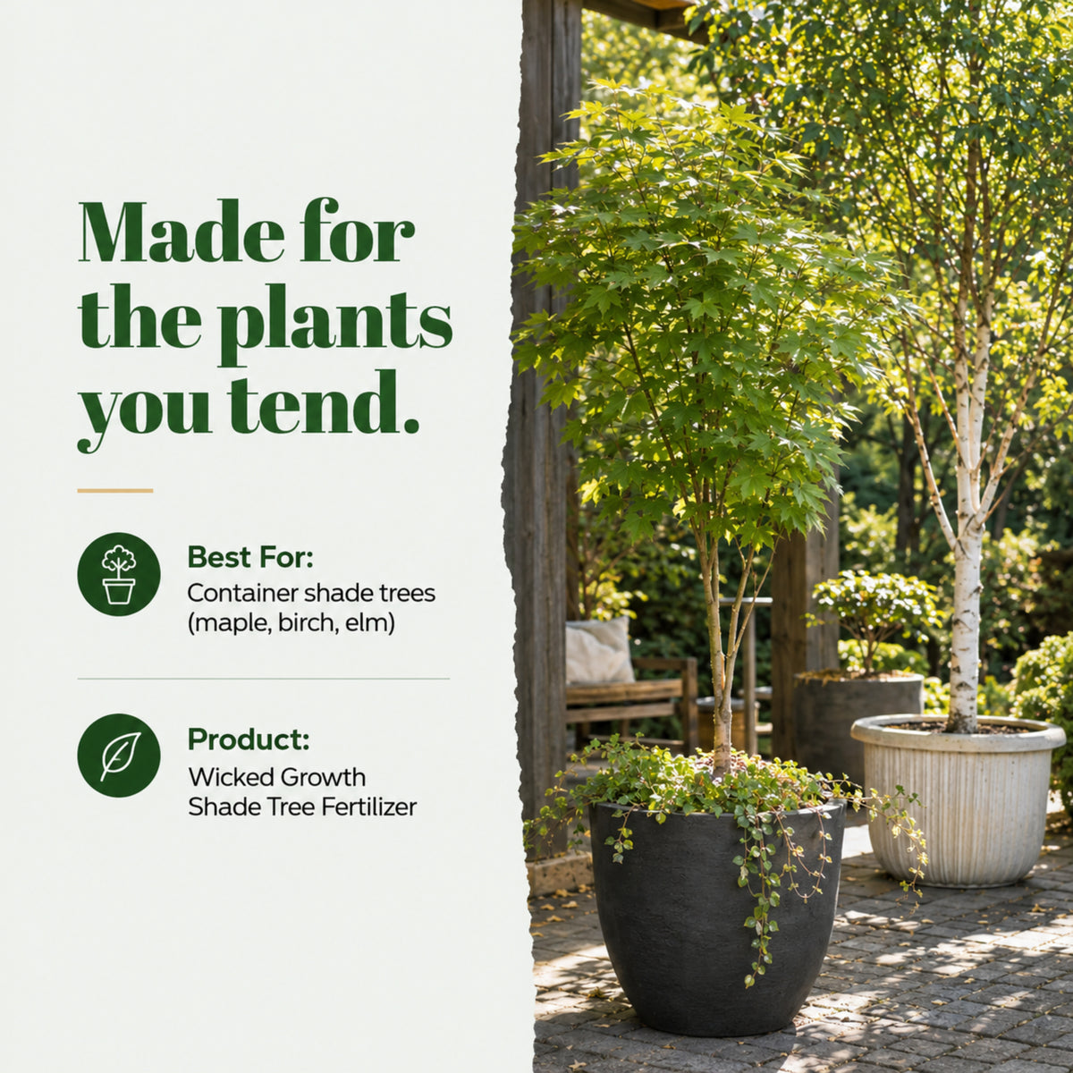 Wicked Growth Shade Trees Fertilizer