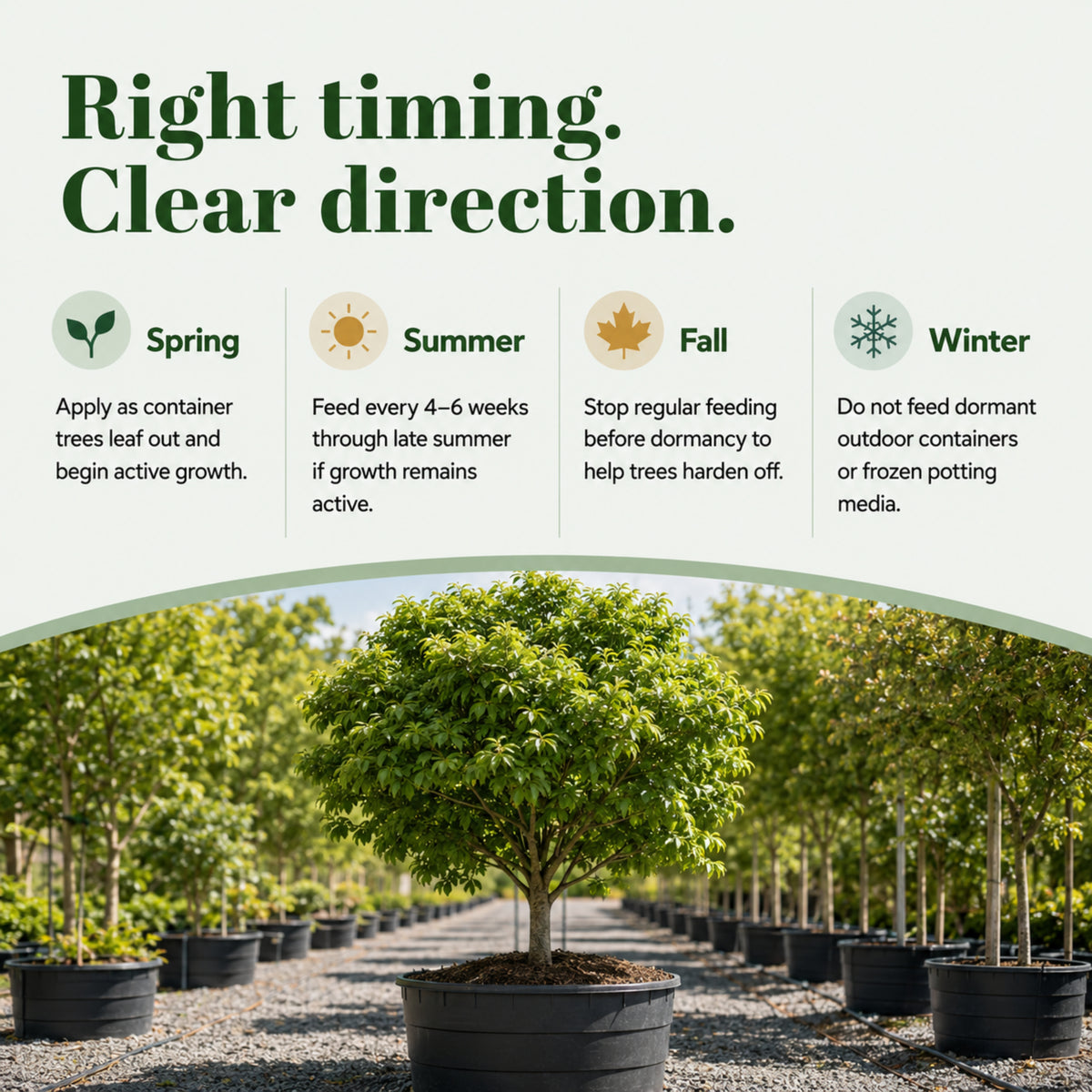 Wicked Growth Shade Trees Fertilizer