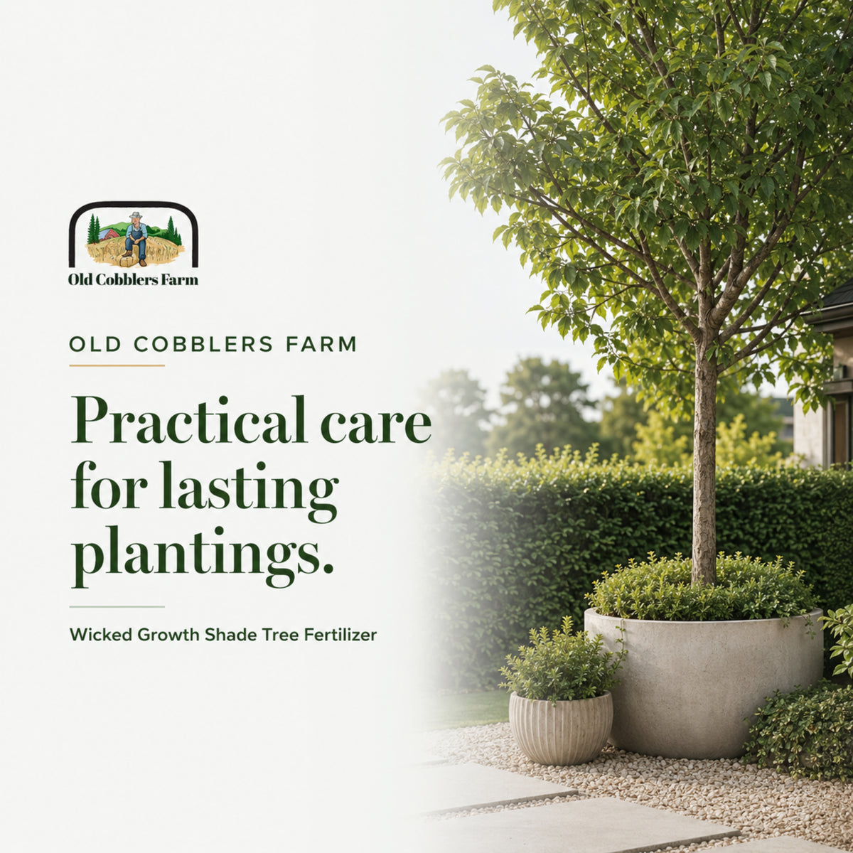 Wicked Growth Shade Trees Fertilizer