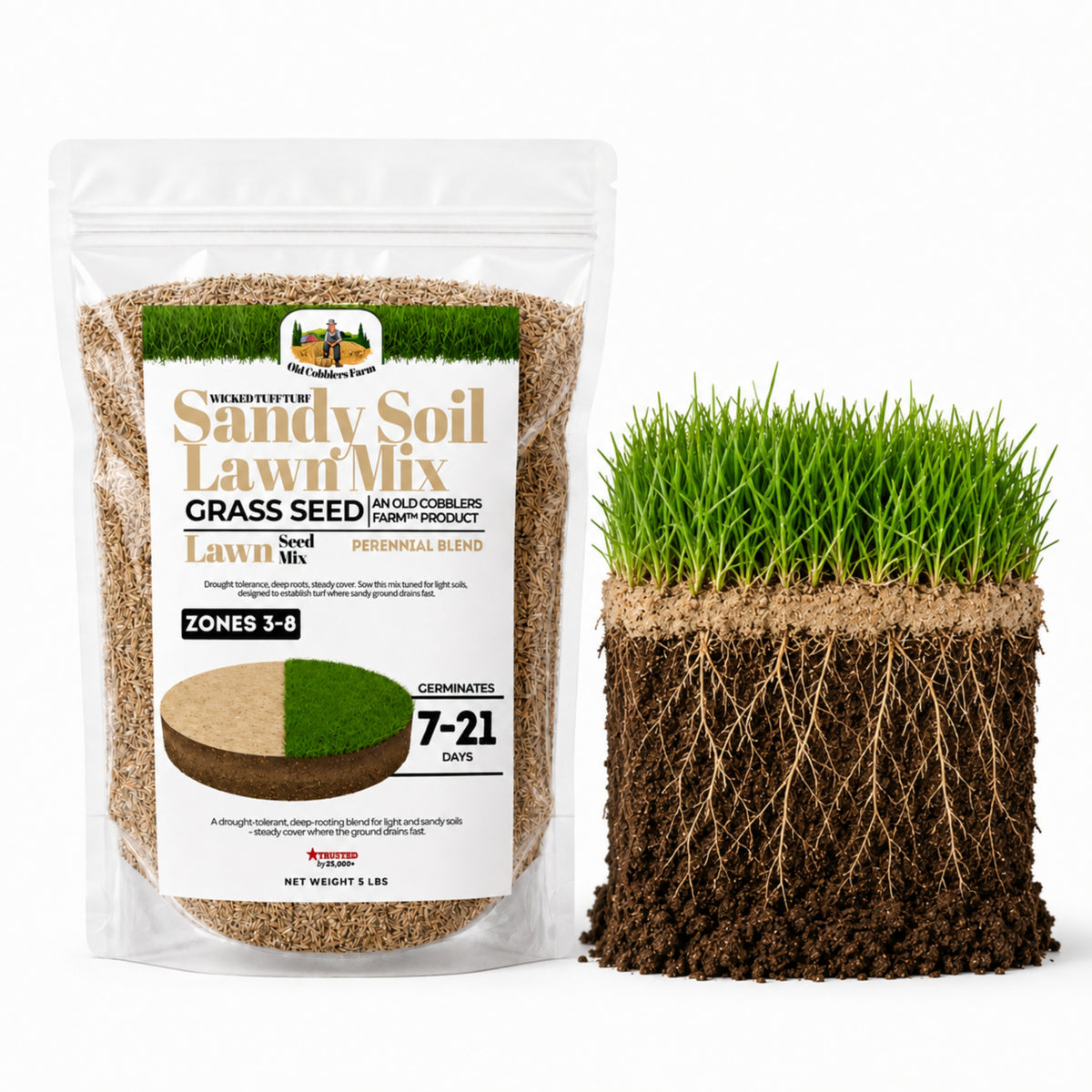 Wicked Tuff Turf Sandy Soil Lawn Seed Mix