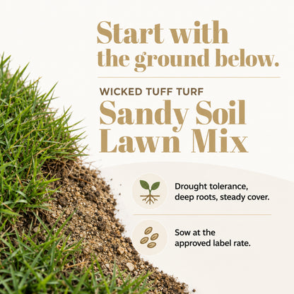 Wicked Tuff Turf Sandy Soil Lawn Seed Mix