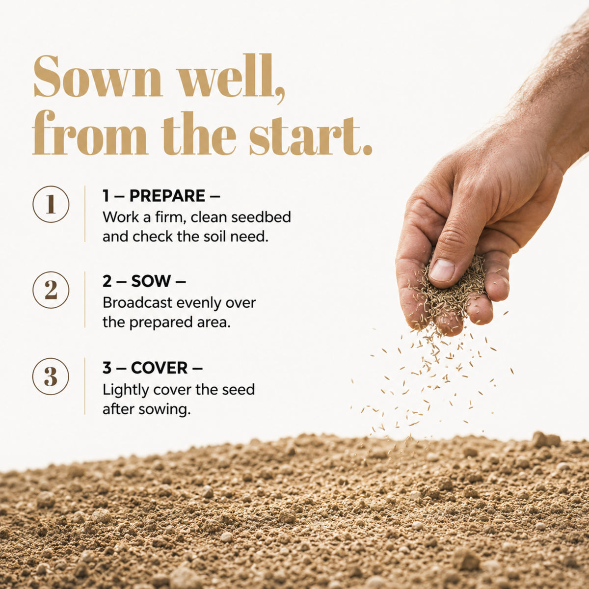 Wicked Tuff Turf Sandy Soil Lawn Seed Mix